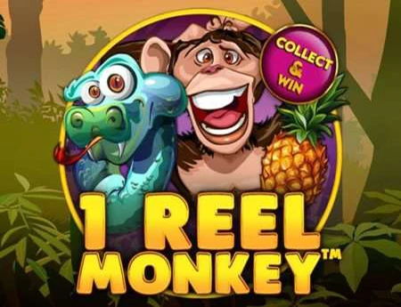 1 Reel Monkey
