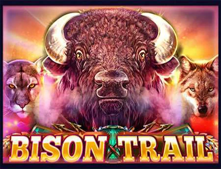Bison Trail